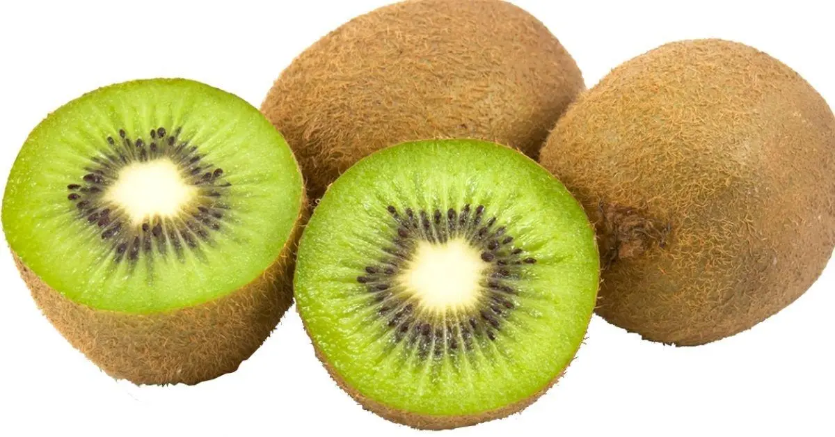 Kiwi