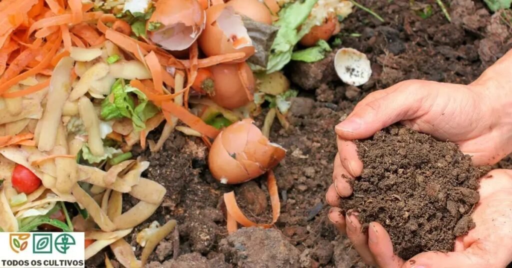 O que é Compostagem?