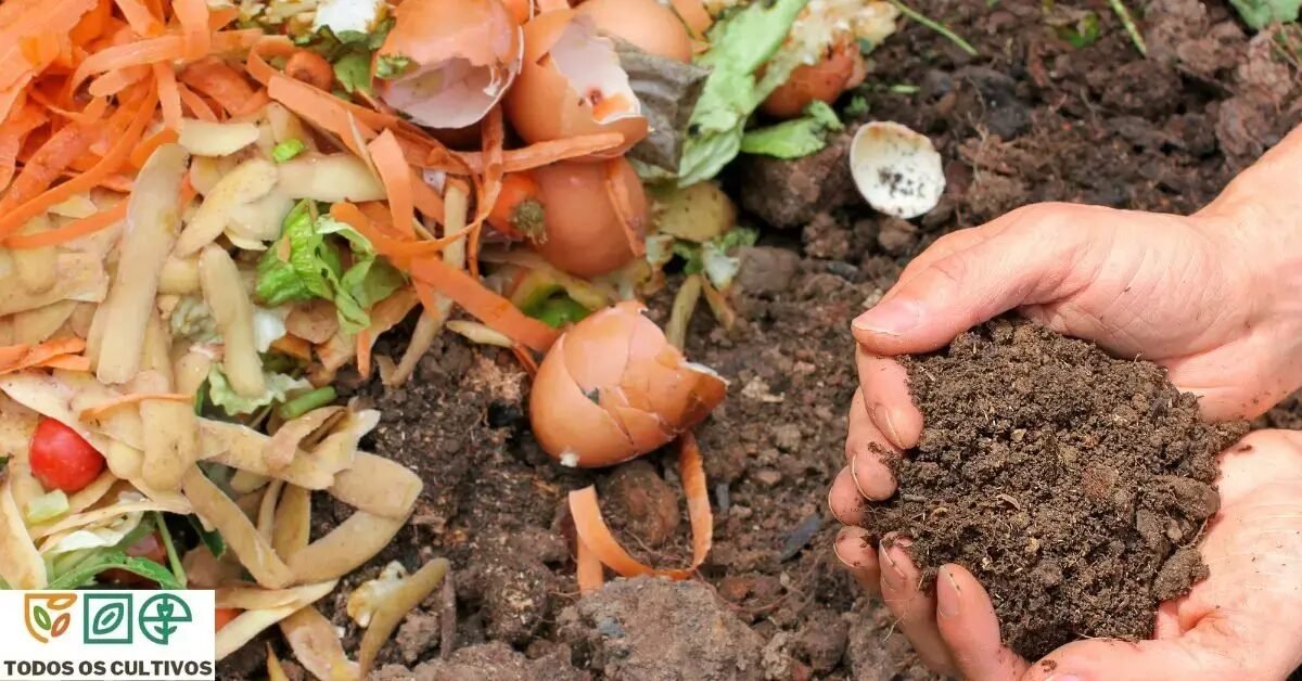 O que é Compostagem?